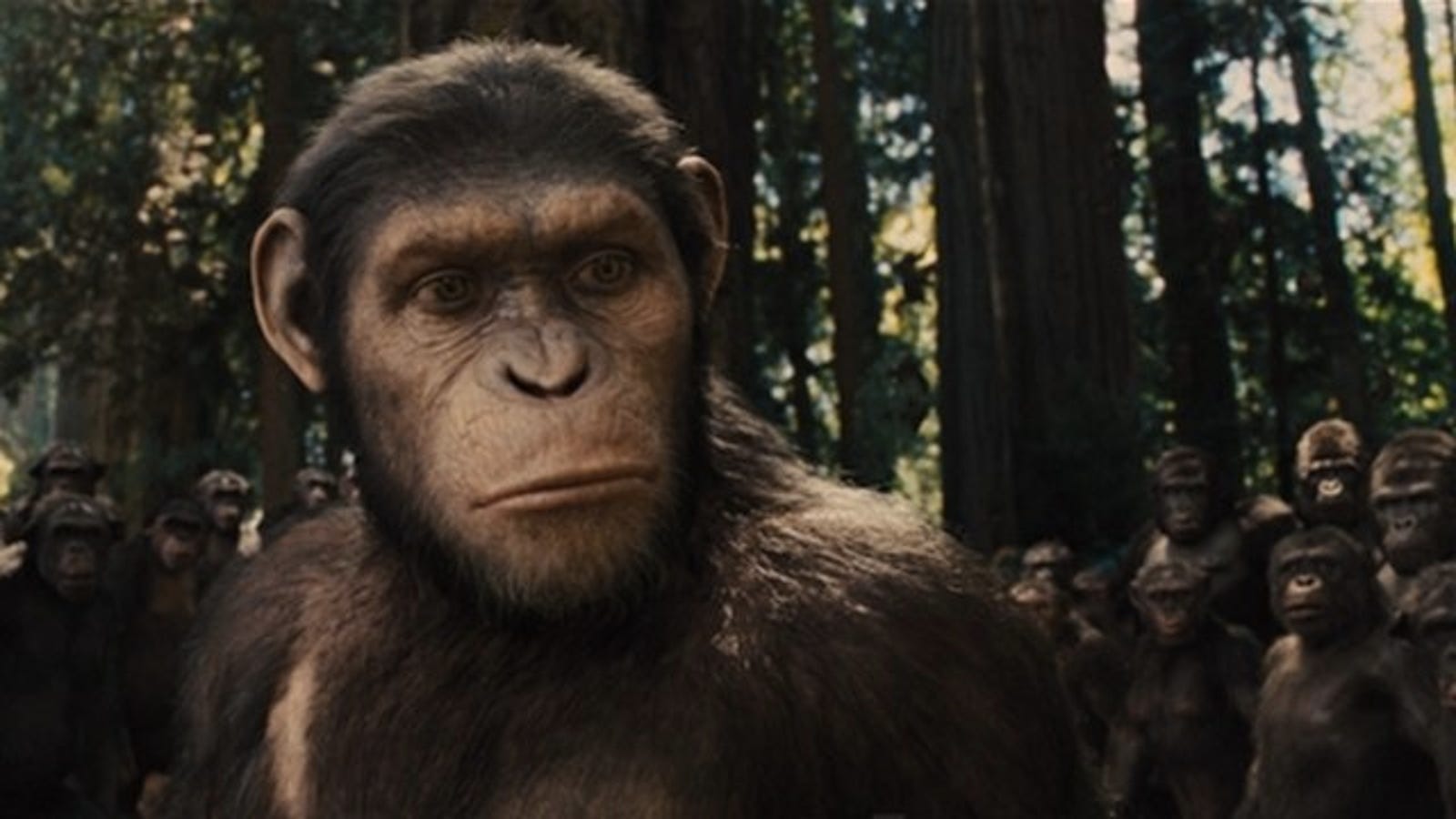 Gary Oldman will kill all the damn dirty apes in Dawn of the of