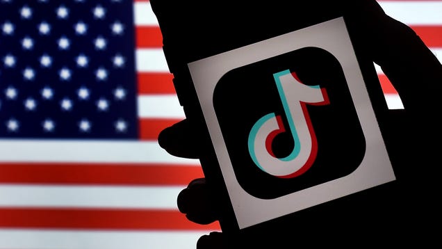 TikTok Lives to See Another Day as Yet Another Federal Judge Strikes Down Trump's Ban