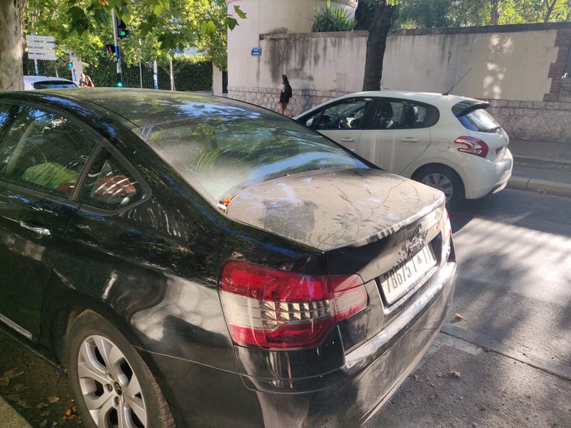 Illustration for article titled Question: how many models did Citroën make with concave rear windows?