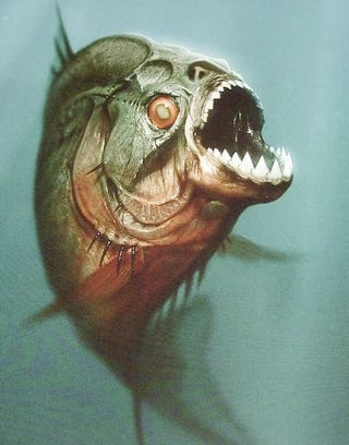 Illustration for article titled Gory Piranha 3D Trailer Is Blood Splattered In All The Right Places