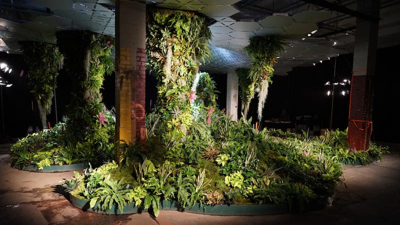 The Experimental Jungle Room Where Nyc S Underground Park Is