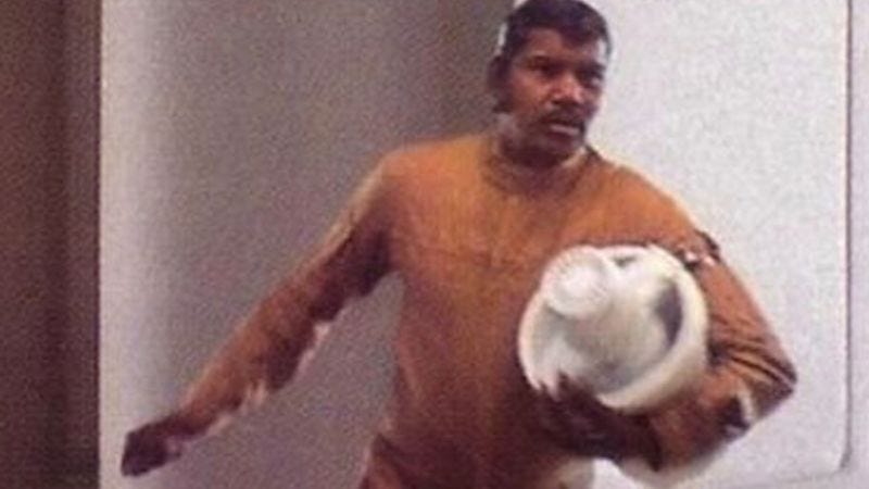 El misterioso hombre de la heladera.