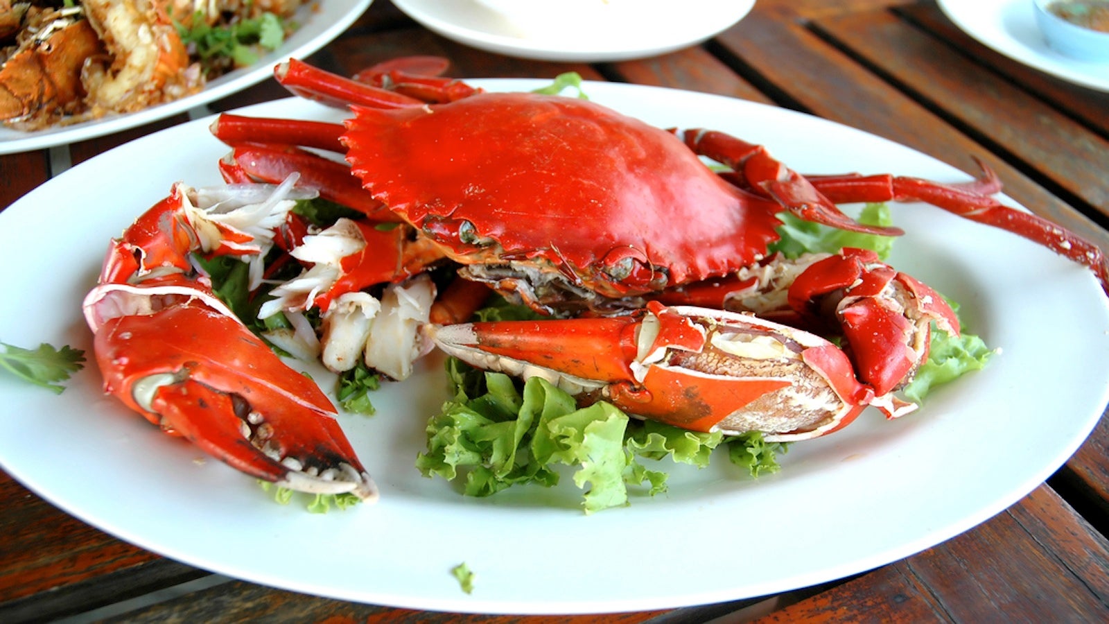 New Study Suggests Crustaceans Actually Do Feel Pain—Delicious ...