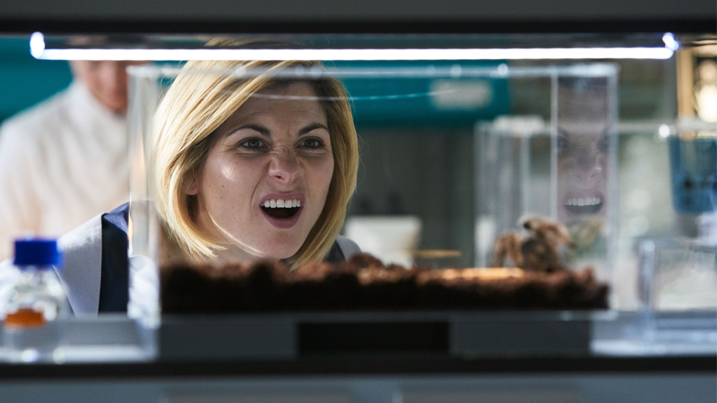 Me @ any moment with a spider in this episode, honestly.