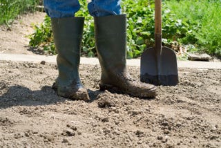 ThinkStockPhotos