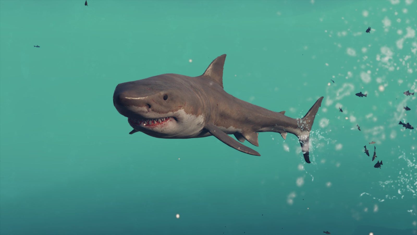 Gta 5 is there sharks фото 85