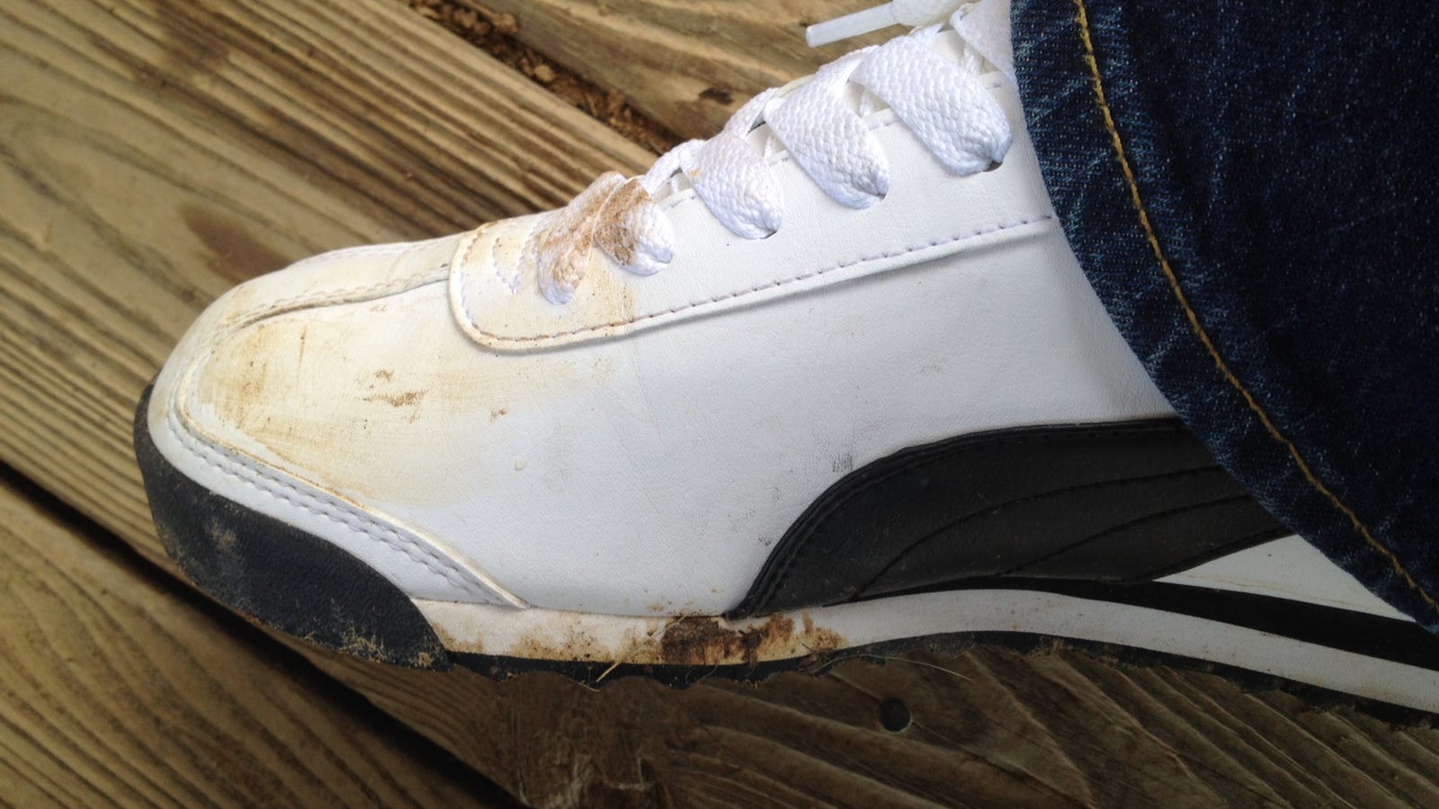 sneakers that never go out of style