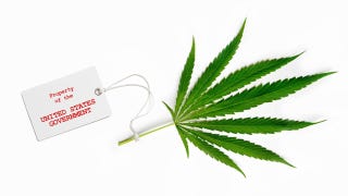 Illustration for article titled How Research Scientists Get Free Illegal Drugs from the GovernmentÂ