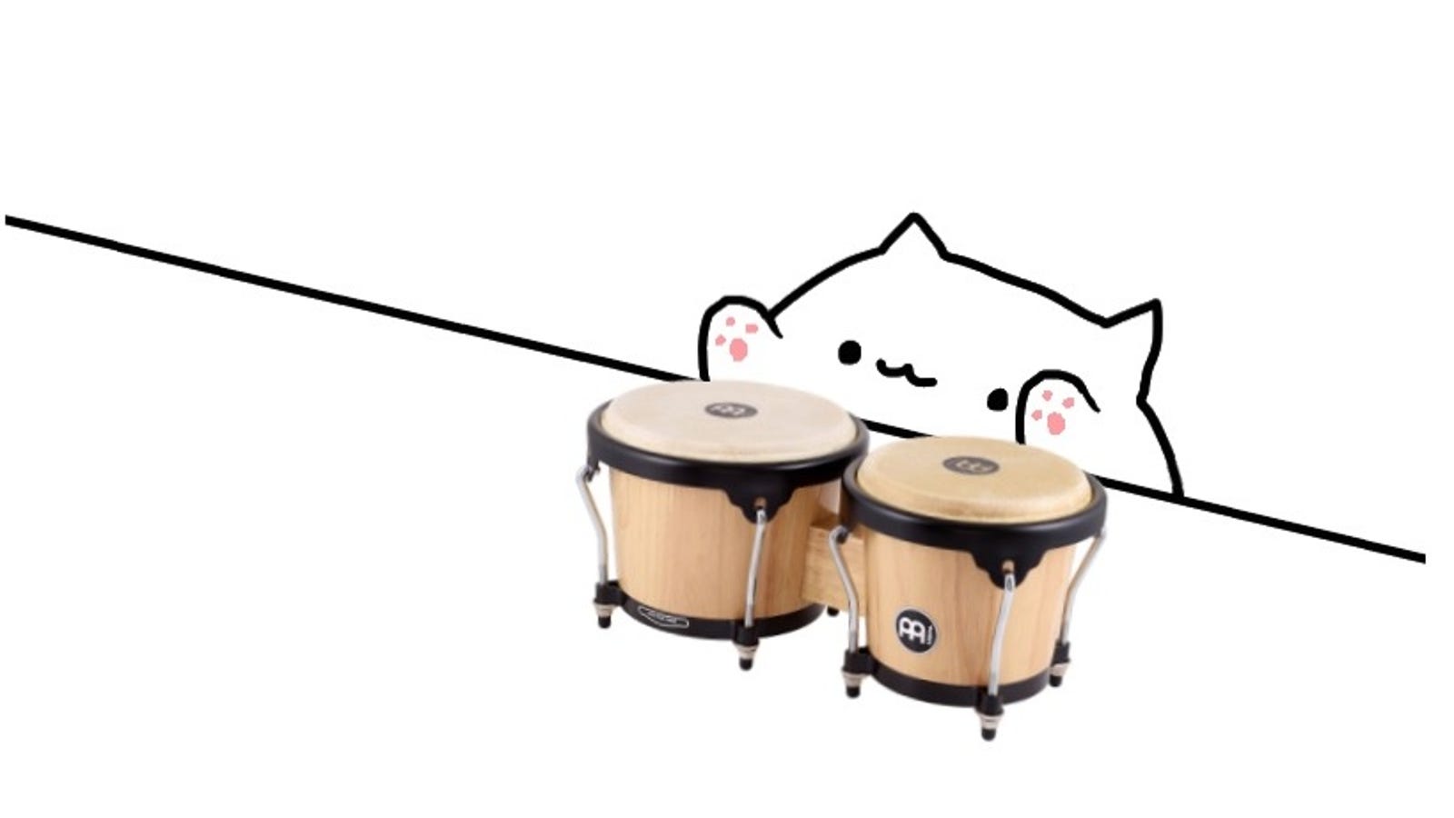 The hot new thing is a cat  just playing the drums  which 