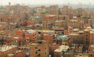 Illustration for article titled 10 Weirdest Urban Ecosystems On Earth