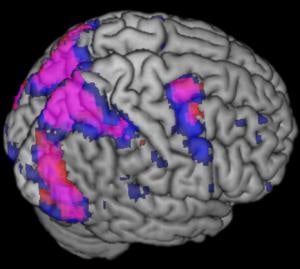 Illustration for article titled Your Brain Will Eventually Be Used Against You
