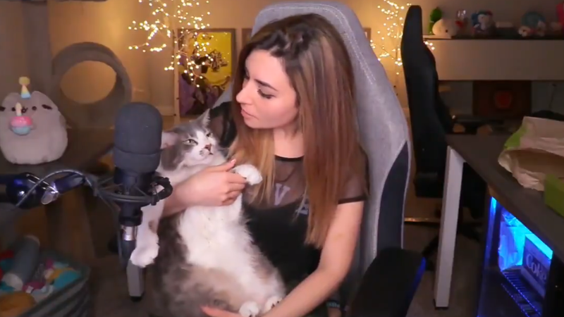 Illustration for article titled Streamer Apologizes For Throwing Her Cat
