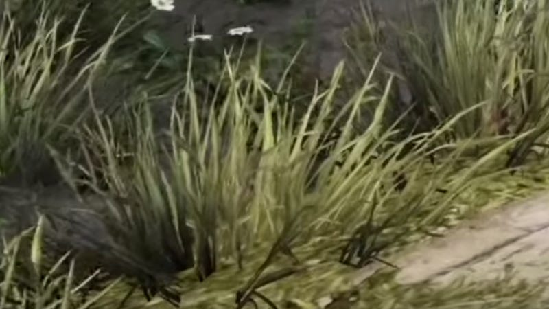 Illustration for article titled 10 Clumps Of Grass In Video Games