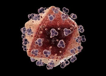 Illustration for article titled Scientists Intend To Turn HIV Against Itself In New Trial