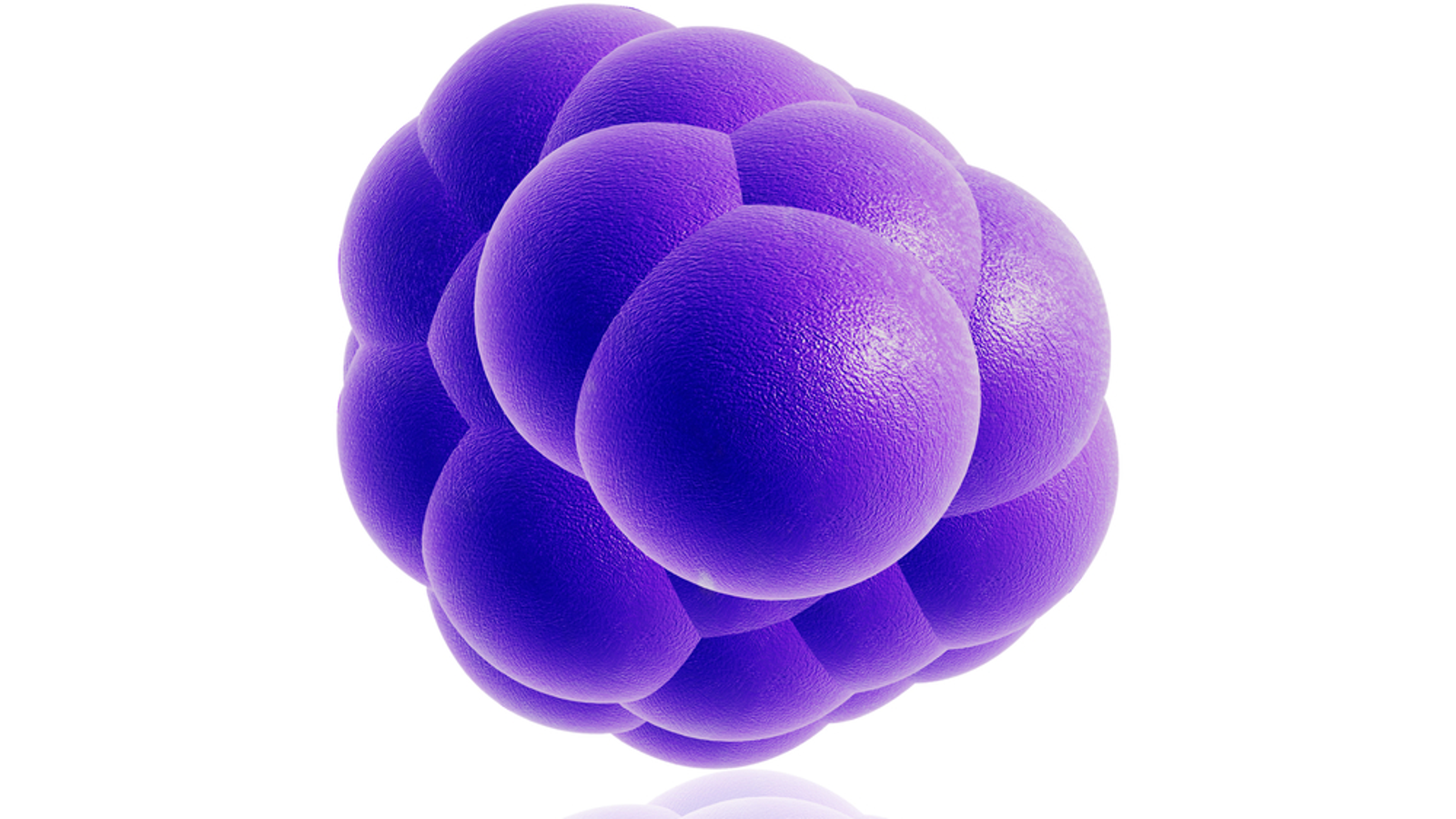 stem cells