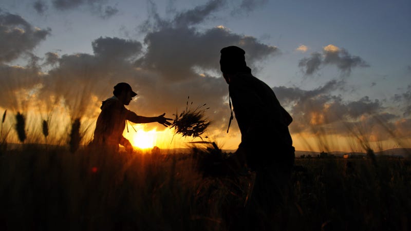 Photo: AP