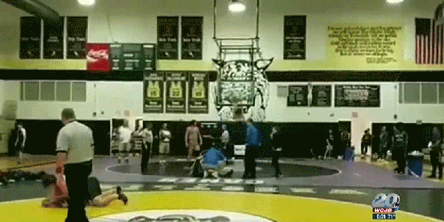 xzsfalyhhhzjgmfs87rq.gif