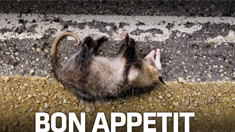 Illustration for article titled This Kentucky Restaurant Was Shut Down For Cooking Roadkill