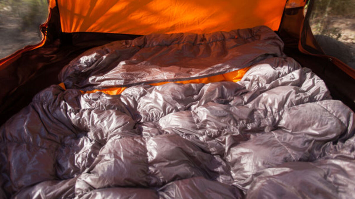 nemo tango down comforter