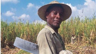 An Afro-Cuban sugarcane cutter in Pinar del RĂo, CubaAll rights reserved