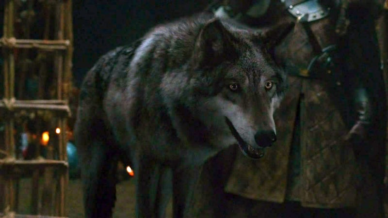 diablo 2 dire wolf vs spirit wolf