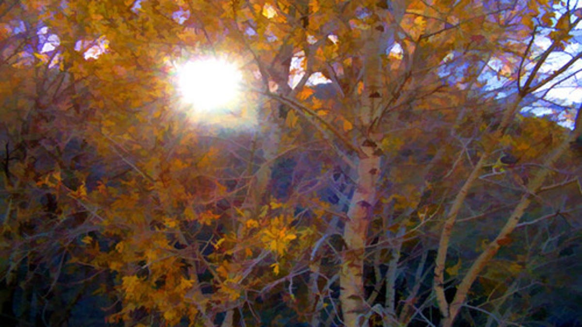 611 Reasons Fall Is The Most Beautiful Season Of All