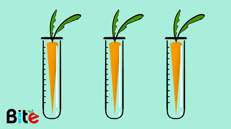 Illustration for article titled GMO Food Isn’t Coming to Get You—It’s Been Here All Along