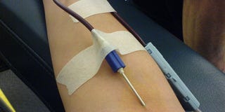 Illustration for article titled FDA Ends Ban on Blood Donations By Gay Men ... But There's A Catch