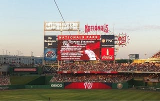 Illustration for article titled Attention Nationals Fans: You Don't Deserve Stephen Strasburg (Disappointed Newlywed Update)