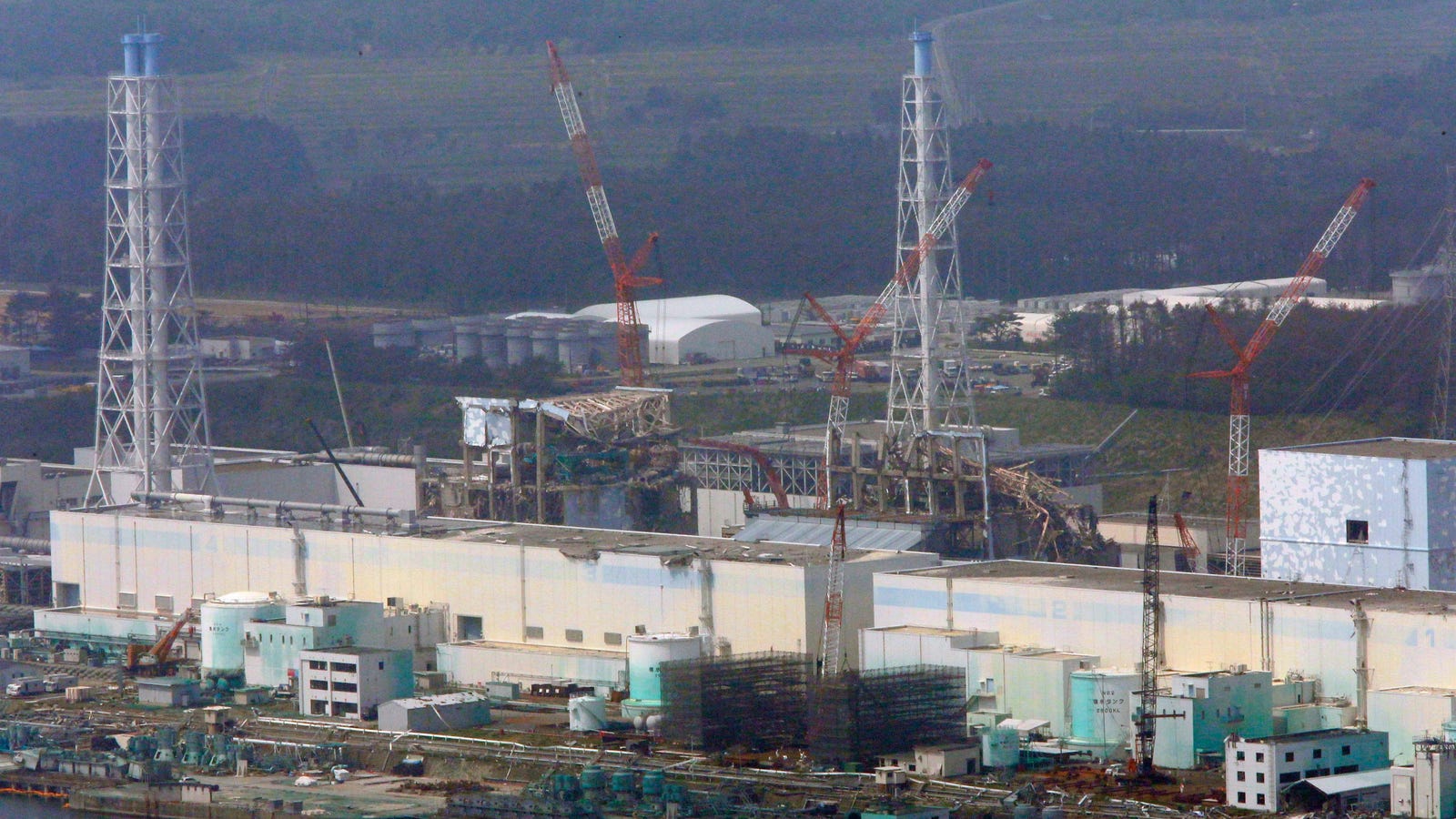 photo of Suspected Bomb From WW2 Found at Fukushima Nuclear Site image