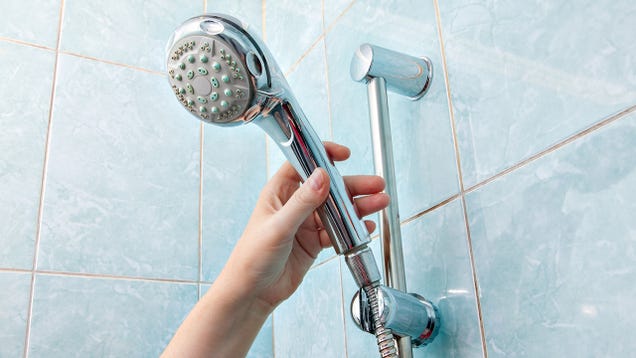 Rinse off With the Best Shower Heads, According To Reviewers