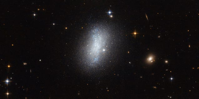 One Neighboring Galaxy Is a Bright Smear Across Space