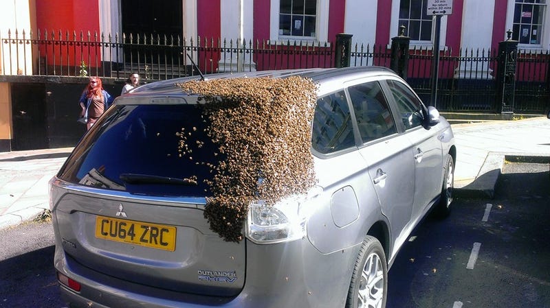 photo of I Wish I Loved Something as Much as These Bees Love This Car image