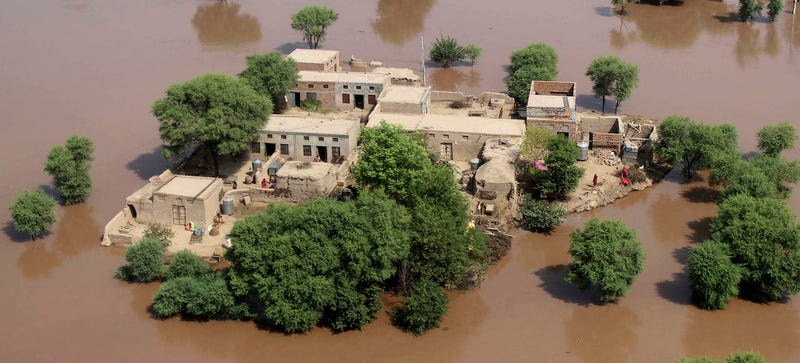 Illustration for article titled Flooding, Anti-Vaxxers, Museums: What's Ruining Our Cities This Week