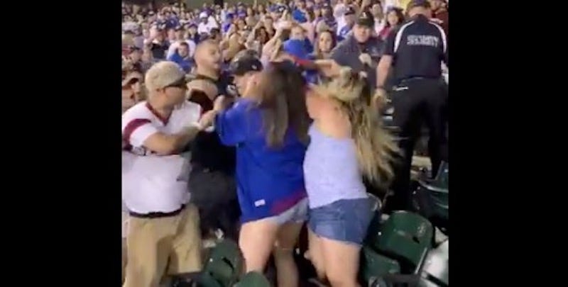 Illustration for article titled Absolutely No One Could Stop These Enraged Cubs Fans From Fighting