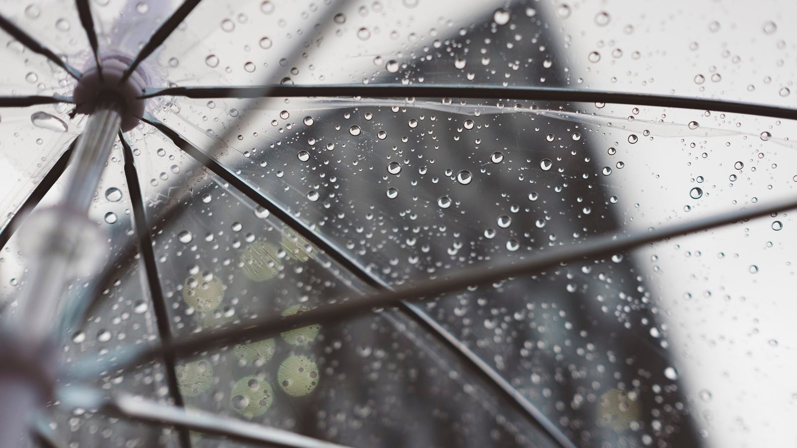 QnA VBage Yet Another Weather App Accused of Collecting Too Much User Data