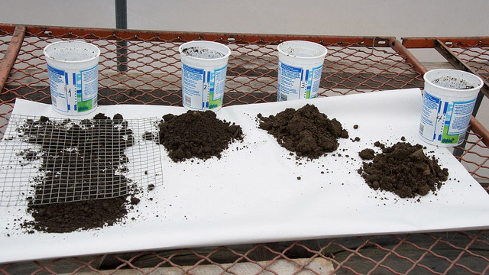 Quickly Test If Your Soil Is Acidic or Alkaline with Vinegar and Baking