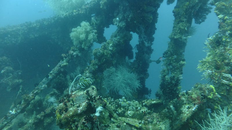 A “Rice Bowl Wreck” prior to illegal salvaging. (Image: Jason Fowler/Flickr)