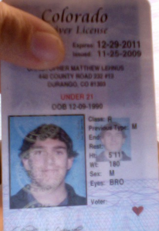 expired virginia drivers license