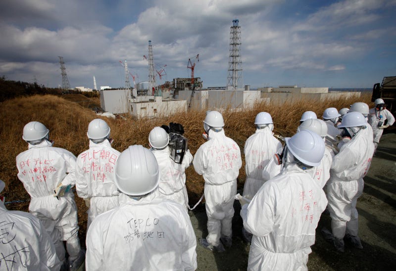 Illustration for article titled Japan's Billion-Dollar Plan to Store Its Contaminated Fukushima Dirt
