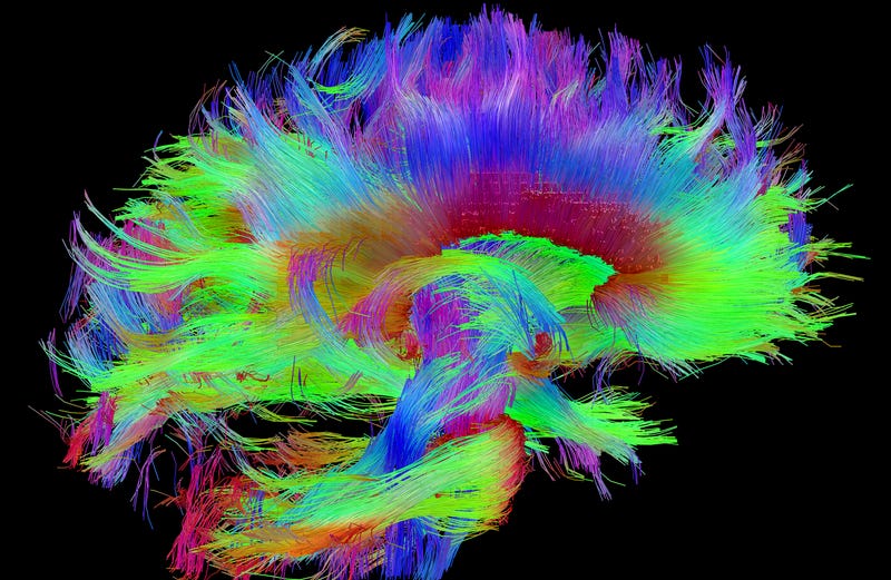 The Genetics of Depression Are Different for Men and Women