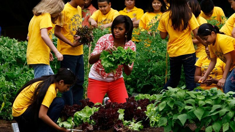 Illustration for article titled Michelle Obama's Vegetable Stand--Now with Health Care Reform!