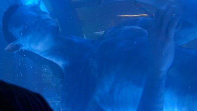 Blue having sex