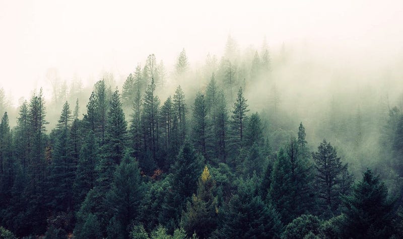 Image: Jay Mantri via Pexels.com