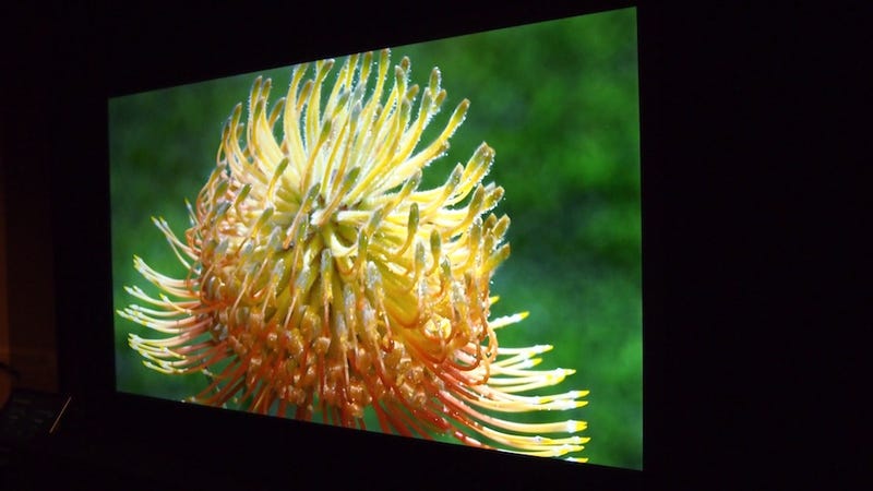Illustration for article titled The Pioneer Elite TV Is Back: Is It the Greatest LCD TV Ever Created?