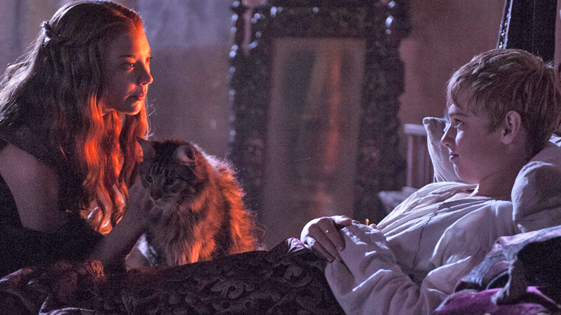 Remember Ser Pounce? Well, now he’s dead.