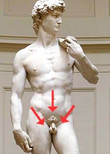 Illustration for article titled 5 Other Things You Didn't Know About Your Penis