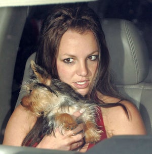 Illustration for article titled Dear Britney, We're Worried About Your Liver
