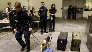 Illustration for article titled Adopting a Money-Sniffing Border Patrol Beagle Seems Like a Prudent Investment, Right?