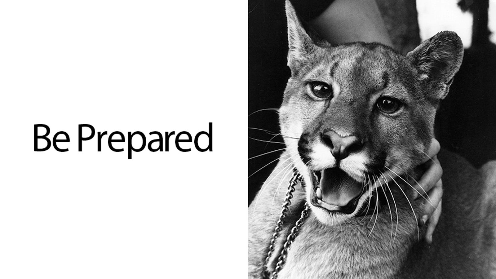 The OS X Mountain Lion Survival Guide
